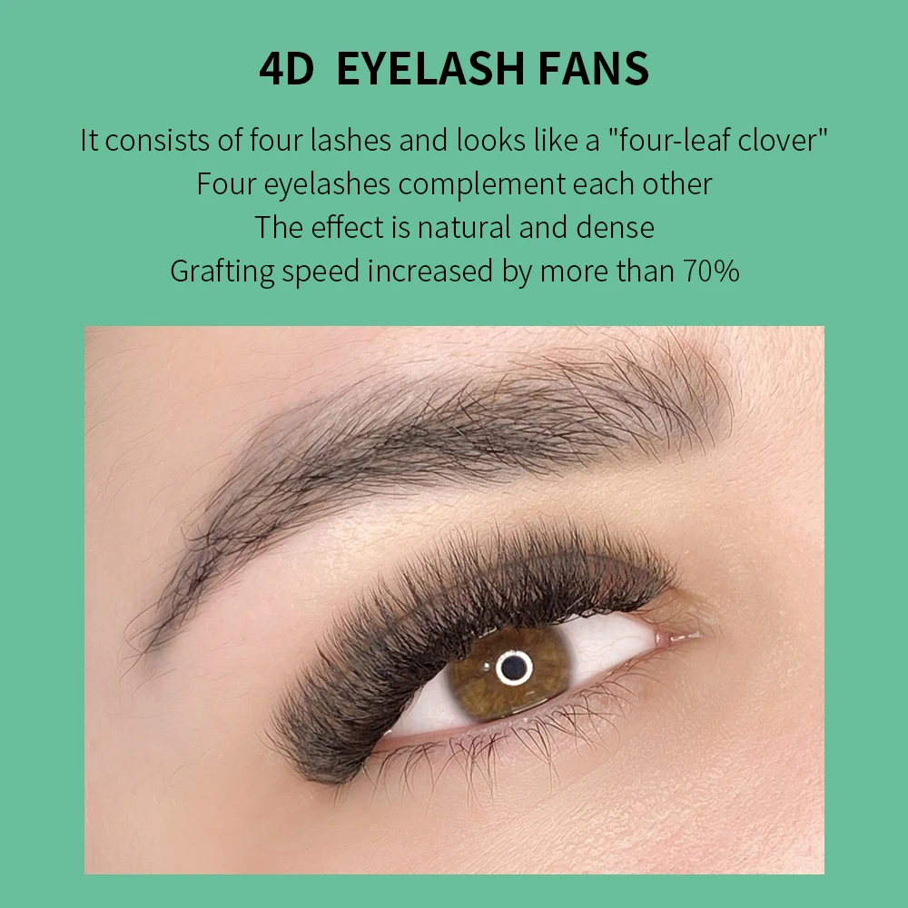 Glamor bulu mata 4D W ekstensi - Eyelash Extension For Asian Eyes ulasan dan harga